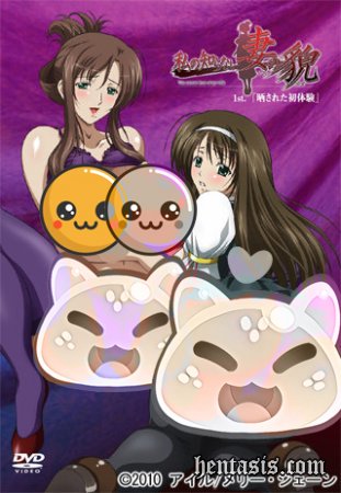 Тайная жизнь моей жены / Watashi no Shiranai Mesu no Kao (2010г.)